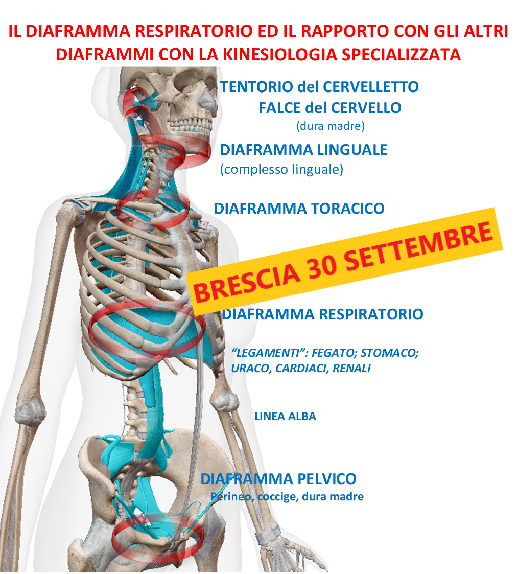 Diaframma - Brescia